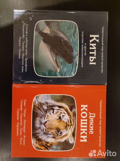 Серия книг удивительный мир живой природы