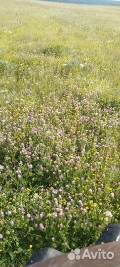 Сено в тюках,в рулонах с доставкой вес 3 центнера