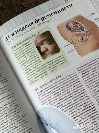 Книга Я скоро мама. Ирина Чеснокова