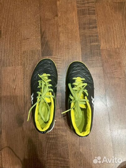 Сороконожки