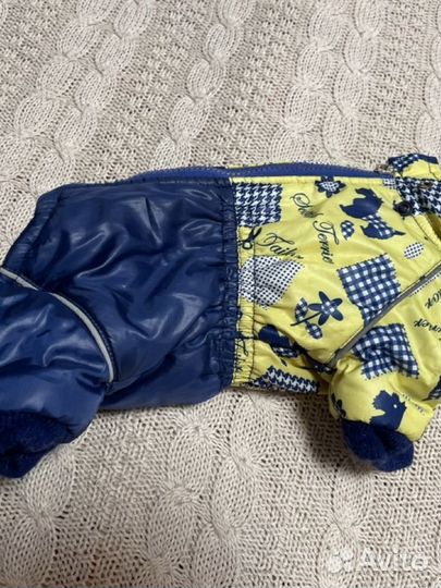 Одежда для собак