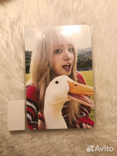 Офф карта лиз (предза соундвейв)