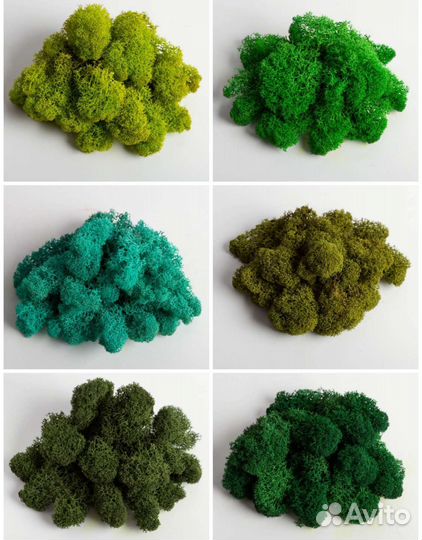 Стабилизированный мох ягель 4 кг, арт 33