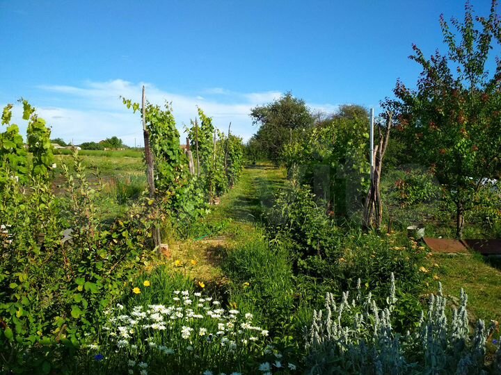 Дом 60 м² на участке 50 сот.