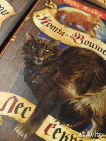 Книги серии 