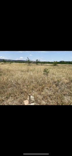 Участок 6 сот. (СНТ, ДНП)