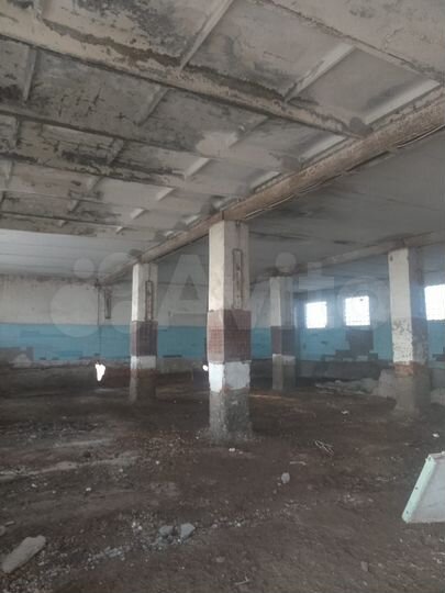 Здание, 1000 м²