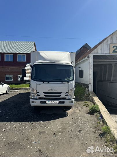 Isuzu Elf (N-series), 2019