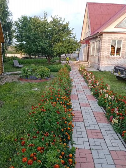 Дом 217 м² на участке 12 сот.