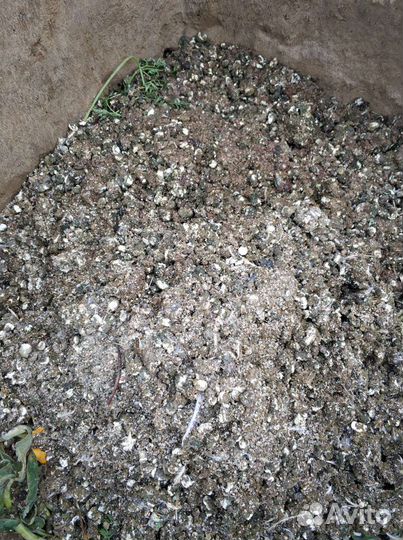 Перепелиный помет