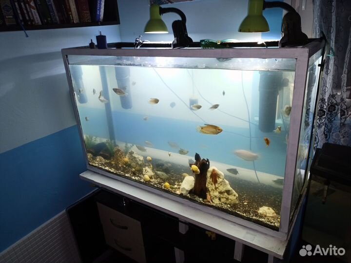 Аквариум 210 л