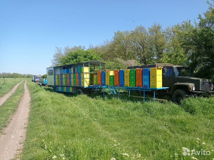 Продам мед оптом