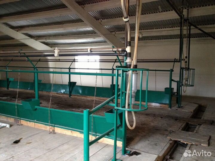 Молокопровод на 50 голов,доильный зал