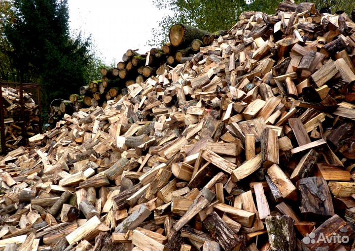 Дрова в область
