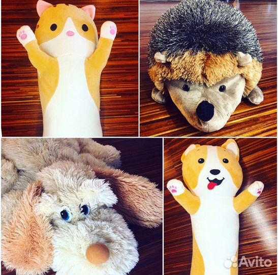 Кот батон корги ёжик собачка