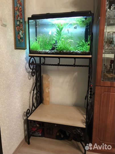Аквариум и все его составляющие + кованная стойка