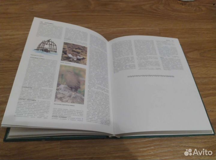 Русская охота