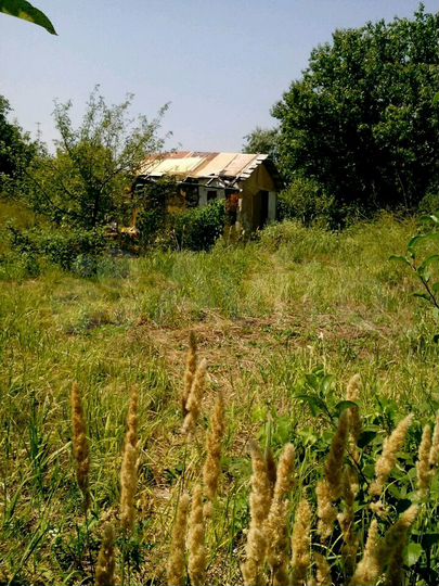 Участок 10 сот. (СНТ, ДНП)