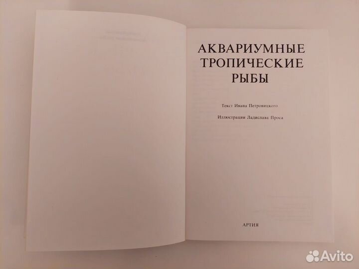 Аквариумные тропические рыбы