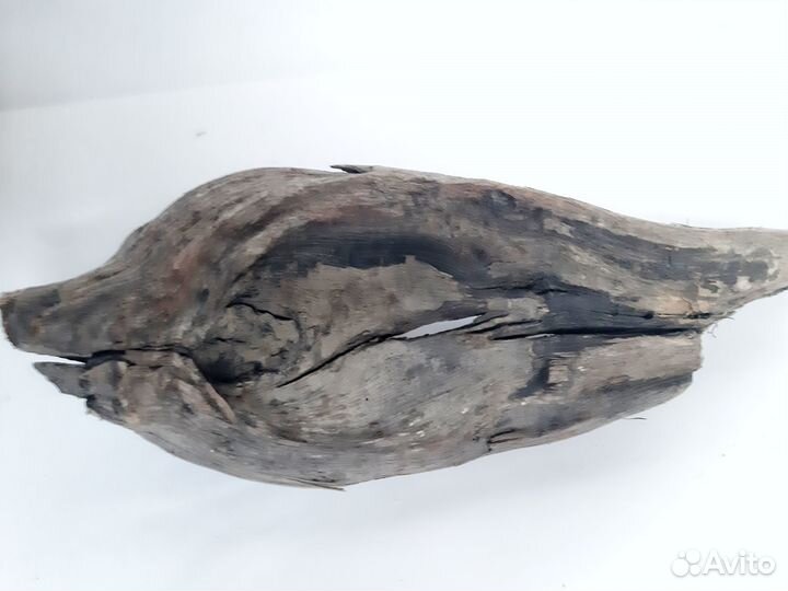 Коряга для моссариума