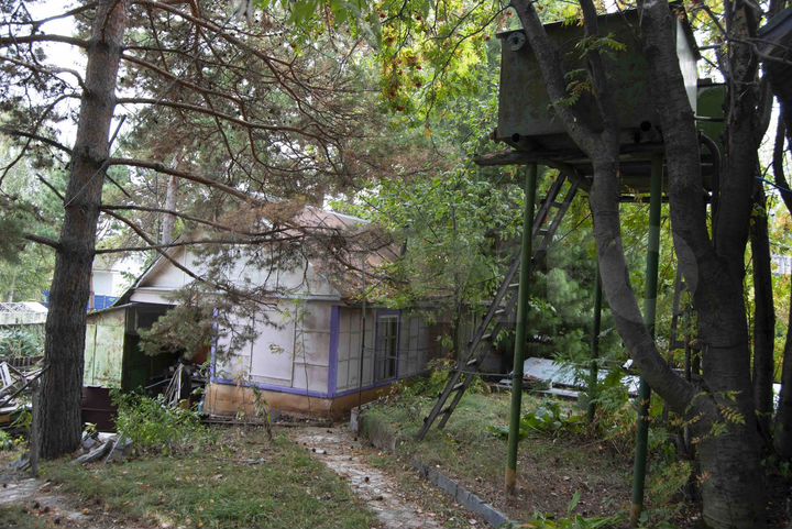 Дача 64 м² на участке 8 сот.