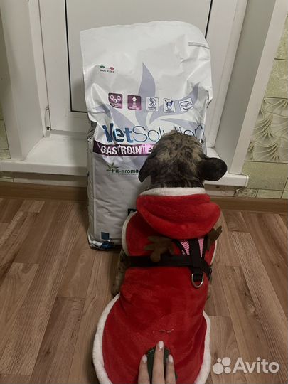 Корм для собак monge gastrointestinal