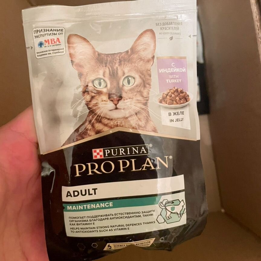 Влажный корм для кошек purina pro plan