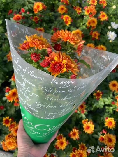 Цветы к 8 марта в горшках