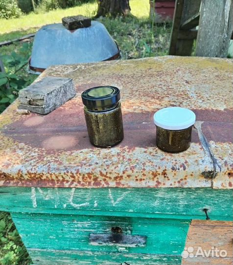 Сбор травяной на меду от гельминтов