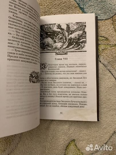 Эрин Хантер - Коты-Воители. Огонь и Лёд