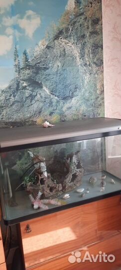 Аквариум jebo