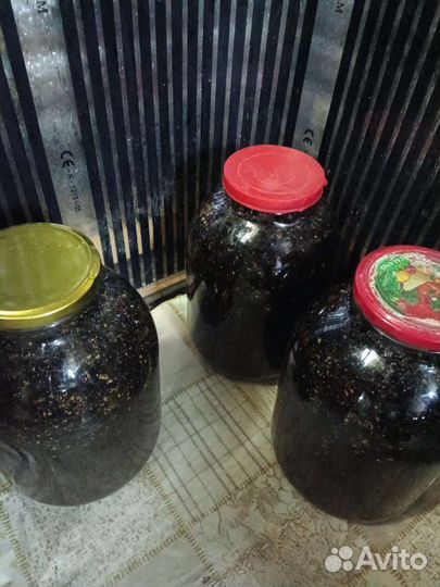 Пчелиный подмор