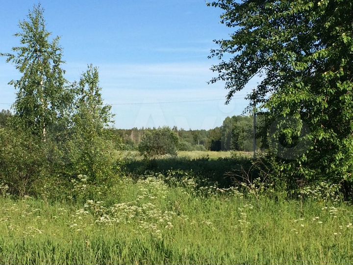 Участок 14,4 сот. (СНТ, ДНП)