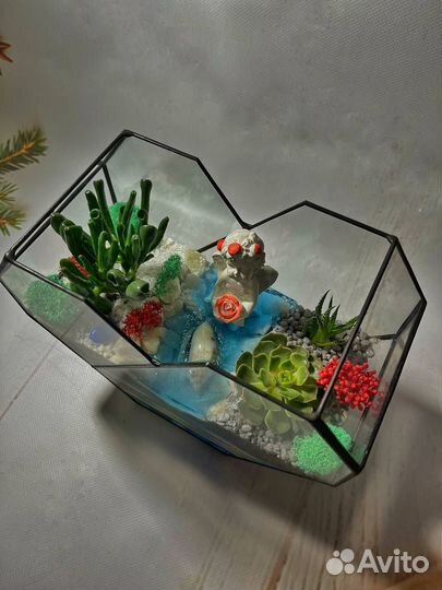 Флорариум для любимого человека