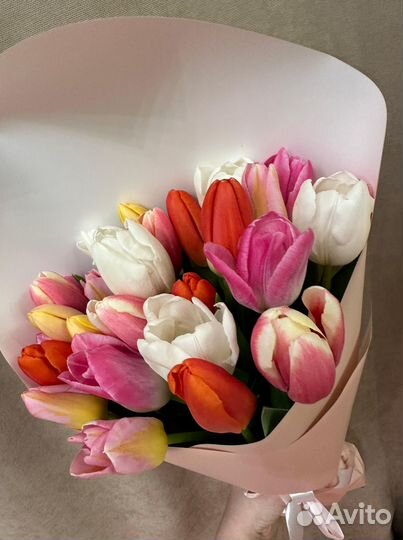 Тюльпаны букеты и пачки