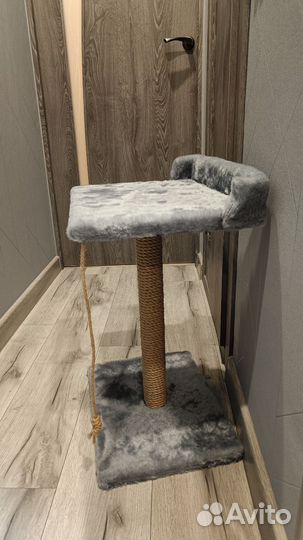 Когтеточка новая