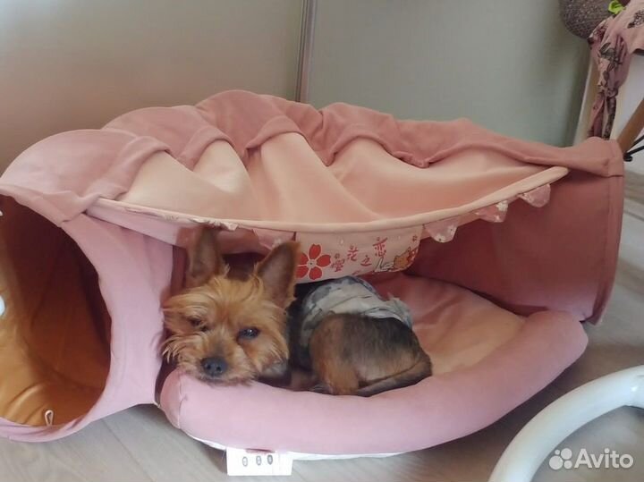 Дом туннель для кошки или собаки маленькой породы