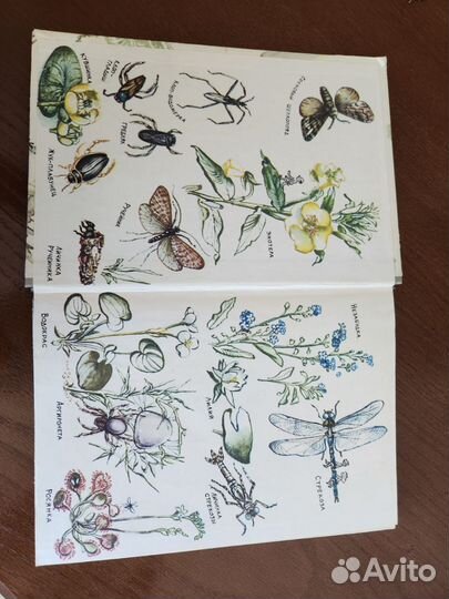 Книга Необыкновенные приключения Карика и Вали