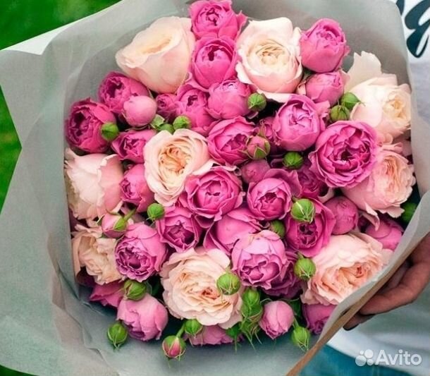 Пионы и пионовидные розы