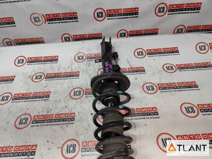 Стойка задняя правая toyota corolla