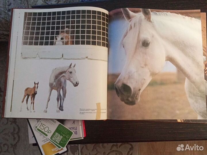 Книга Ветер в гриве