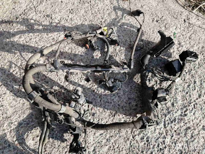 Коса Двигателя Проводка Хендай Элантра HD 1.6 МКПП