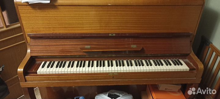 Пианино calisia