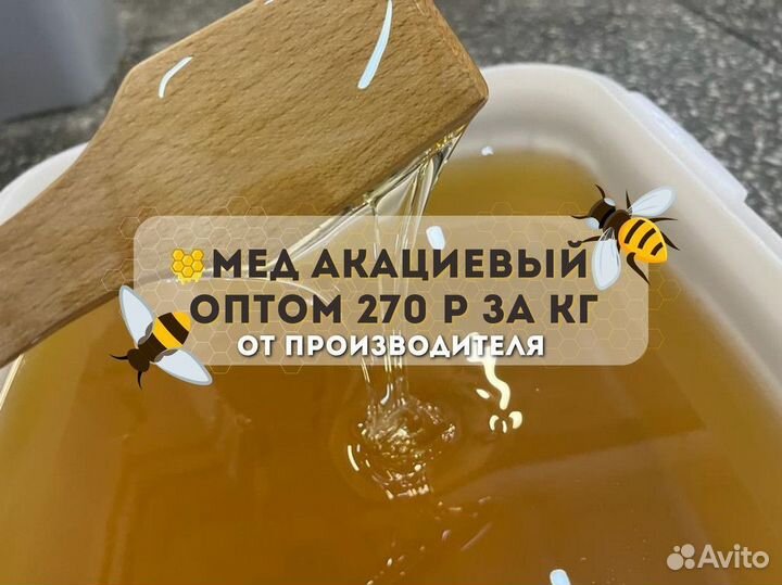 Свежая акация оптом