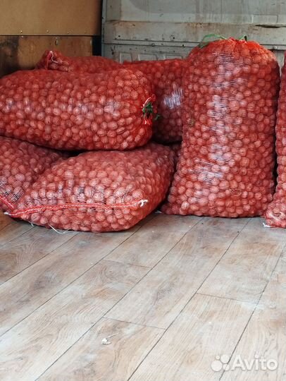 Грецкий орех в скорлупе