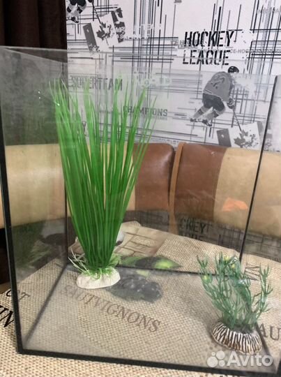 Ракушка для аквариума