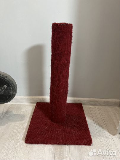 Когтеточка для кошек бу