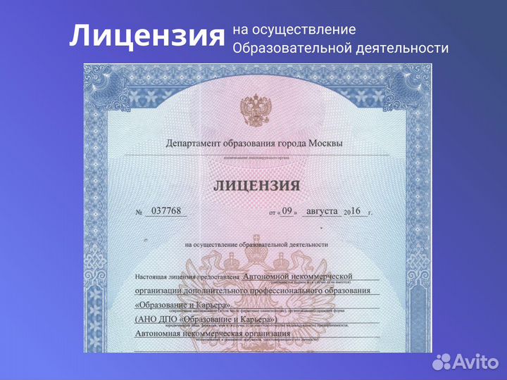 Курс Excel Онлайн. Обучение Эксель Word PowerPoint