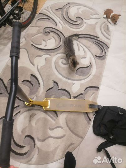 Самокат Lorak трюковой