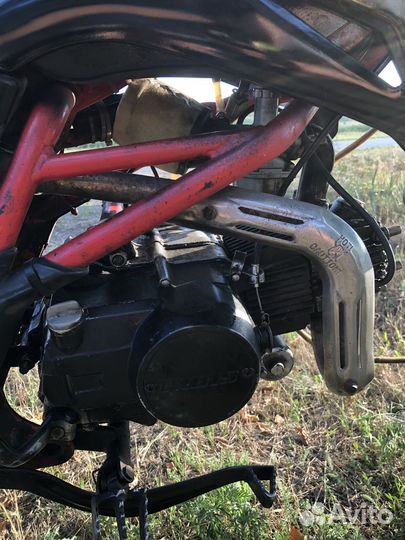 Питбайк irbis ttr125